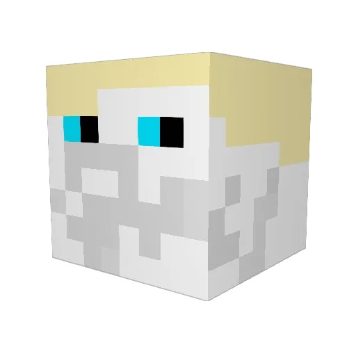 Fritte12345 Minecraft avatar head, 3D render
