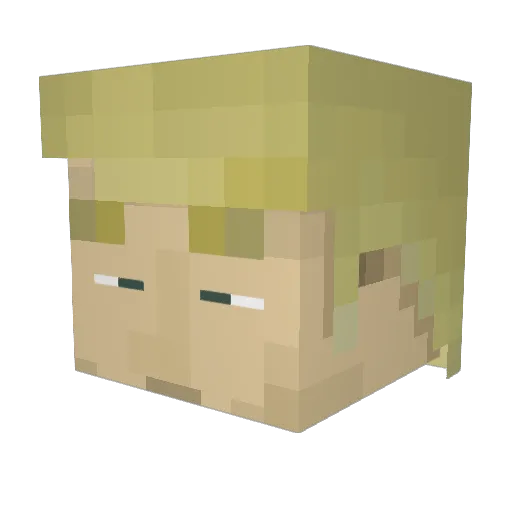 FritzBlitzHH Minecraft avatar head, 3D render