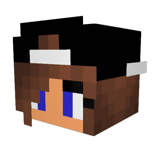 FritzDK Minecraft avatar head, 3D render