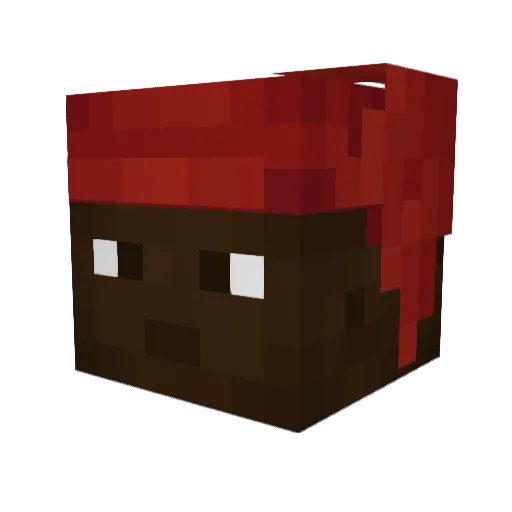 FritzReiDelas Minecraft avatar head, 3D render