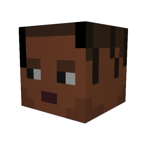 Fritz_Donegin Minecraft avatar head, 3D render
