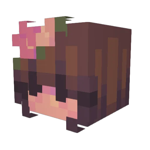 Fritz_X Minecraft avatar head, 3D render