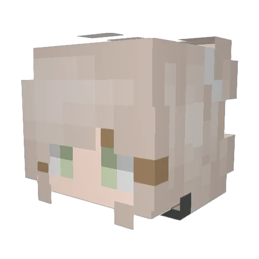 Fritzeon Minecraft avatar head, 3D render