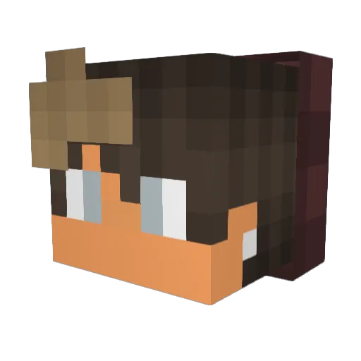 Fritzy249 Minecraft avatar head, 3D render