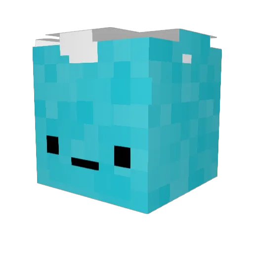 FriutLoopHH Minecraft avatar head, 3D render