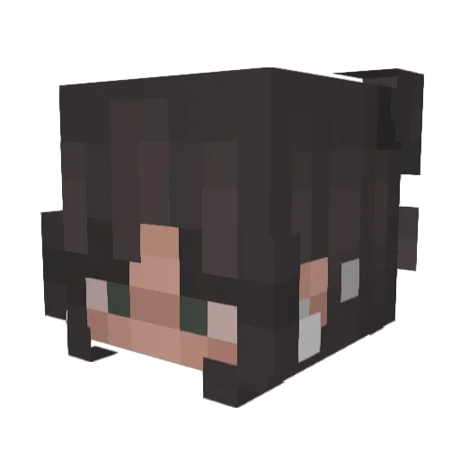 Frix3z Minecraft avatar head, 3D render
