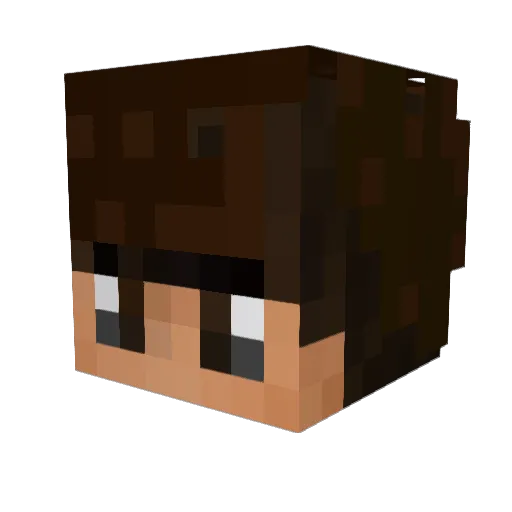 Frix81 Minecraft avatar head, 3D render