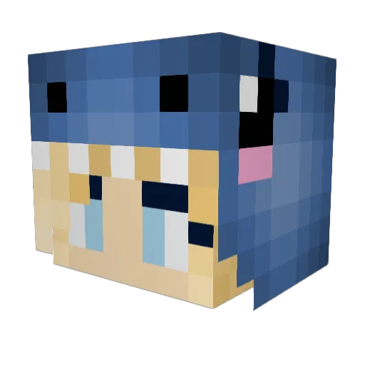 FrkNeye Minecraft avatar head, 3D render