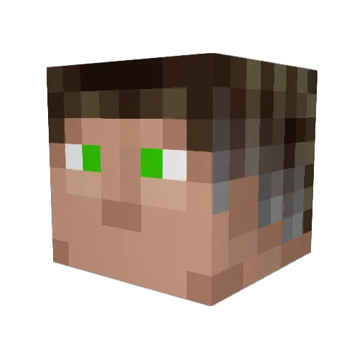 Frnoti Minecraft avatar head, 3D render
