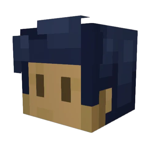 Fro4 Minecraft avatar head, 3D render