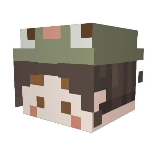 Fro9man4 Minecraft avatar head, 3D render
