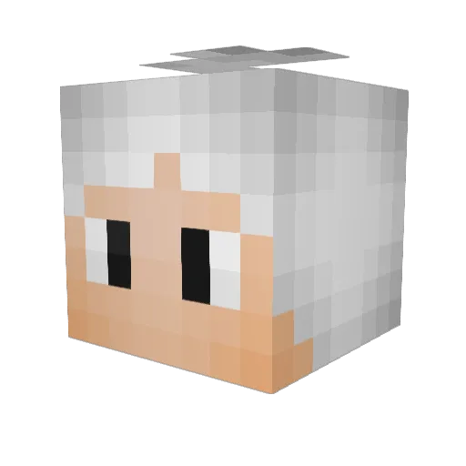 Froakie16 Minecraft avatar head, 3D render