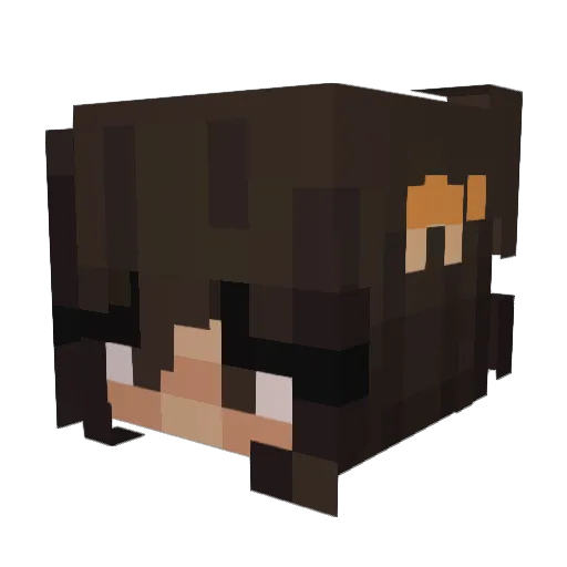 FrobinP Minecraft avatar head, 3D render