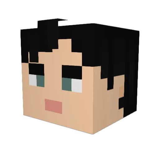 Frocxter Minecraft avatar head, 3D render