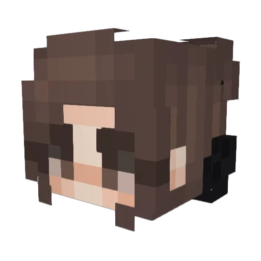 FrodeNorway Minecraft avatar head, 3D render