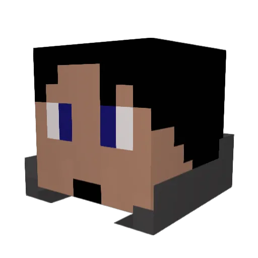 Frodo711 Minecraft avatar head, 3D render