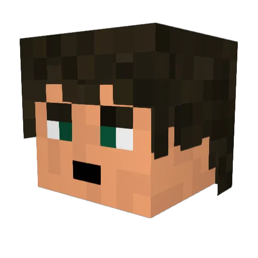 FrodoBagginsX Minecraft avatar head, 3D render