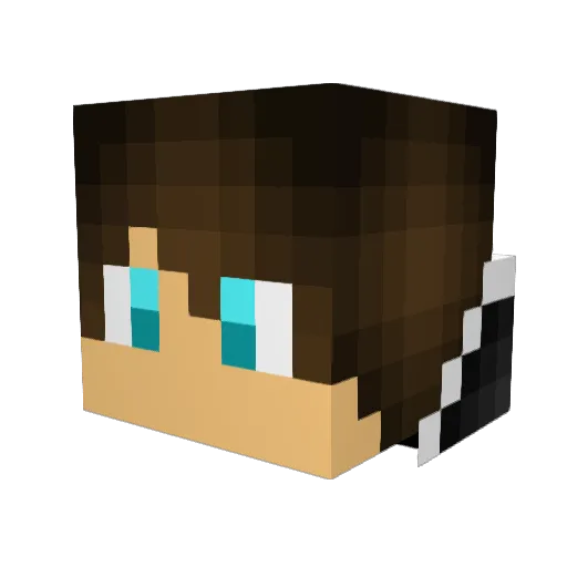 FrodoKB5 Minecraft avatar head, 3D render
