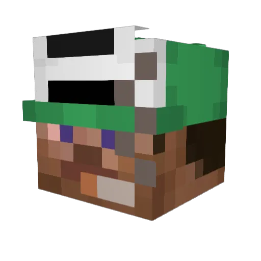 Frodolodo1337 Minecraft avatar head, 3D render
