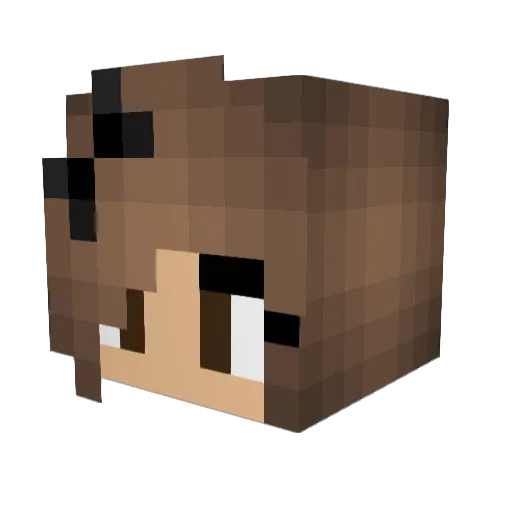 Frodosam2 Minecraft avatar head, 3D render