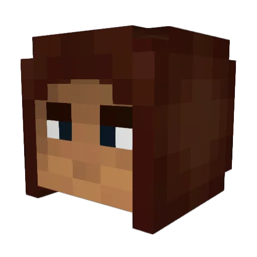 Froelich Minecraft avatar head, 3D render