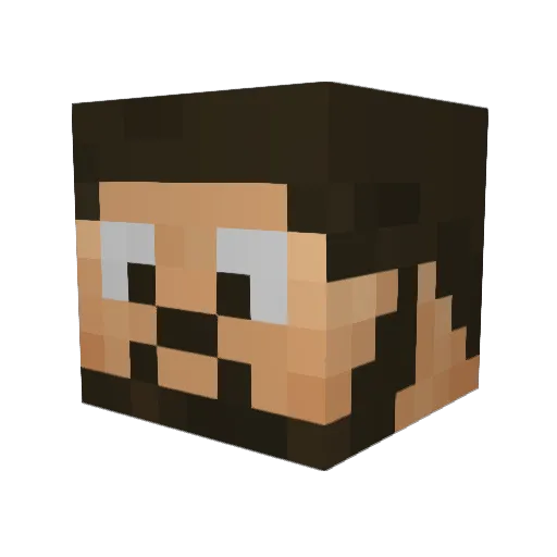 Froesitron84 Minecraft avatar head, 3D render