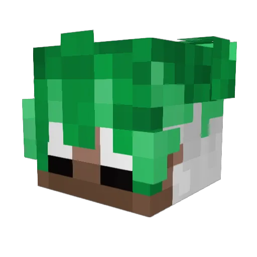 Froesyyy Minecraft avatar head, 3D render