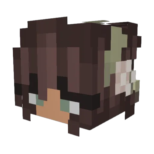 Frog0mg Minecraft avatar head, 3D render