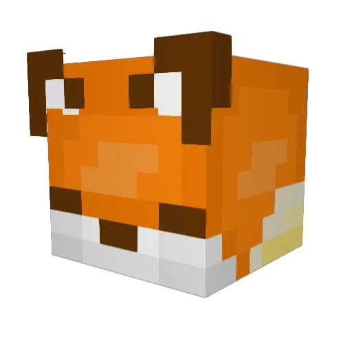 FrogHopper0087 Minecraft avatar head, 3D render