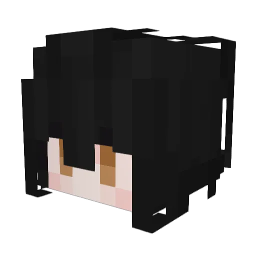 FrogInALog_ Minecraft avatar head, 3D render