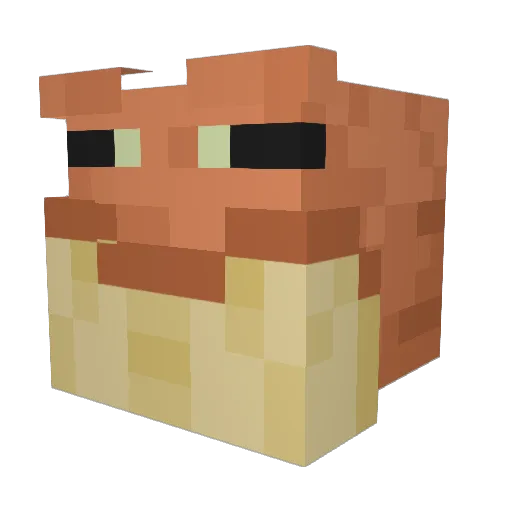 FrogKingg2010 Minecraft avatar head, 3D render