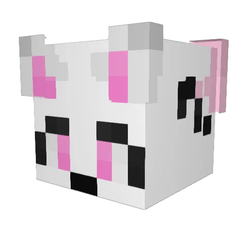 FrogManBurp Minecraft avatar head, 3D render
