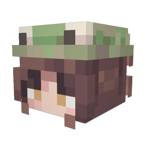 FrogOg_ Minecraft avatar head, 3D render