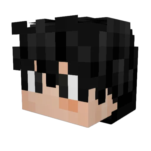 FrogPlayzYT Minecraft avatar head, 3D render