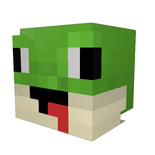 Frog_Craft Minecraft avatar head, 3D render