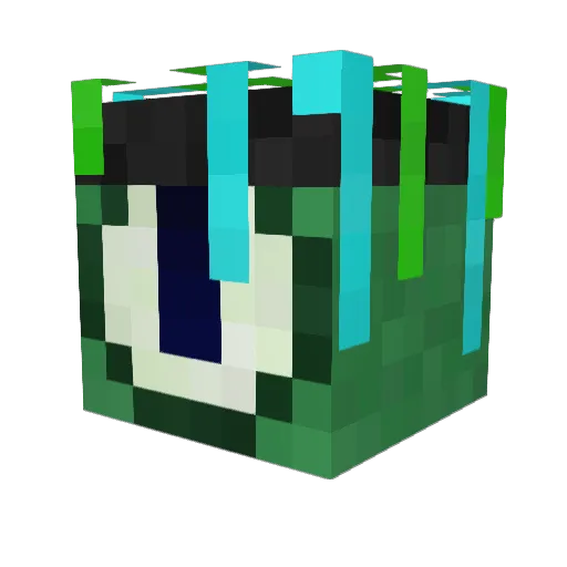 Frog_Hunter_5 Minecraft avatar head, 3D render