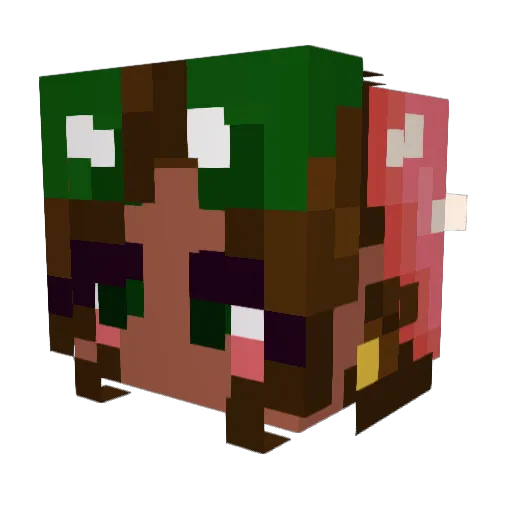 Frog_Jellyfish Minecraft avatar head, 3D render