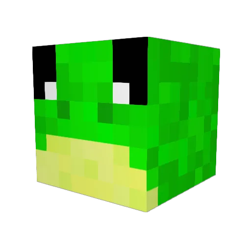 Frog_King46 Minecraft avatar head, 3D render