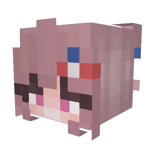Frog_Yum11037 Minecraft avatar head, 3D render