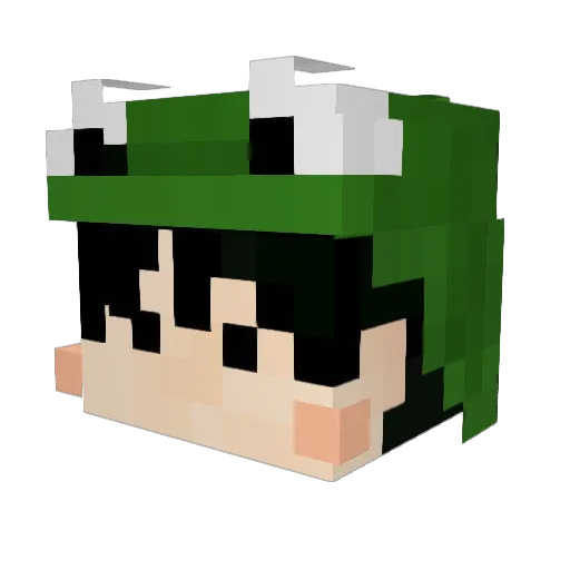 Frog_dotori Minecraft avatar head, 3D render