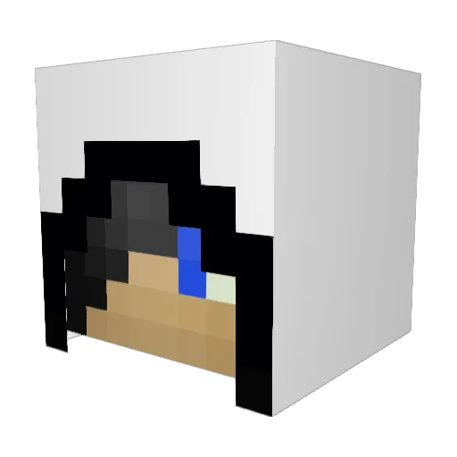 Frogboy007 Minecraft avatar head, 3D render