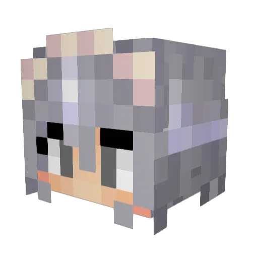 Frogdrinkscoffee Minecraft avatar head, 3D render