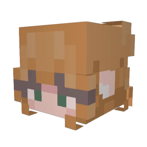 Frogeddie Minecraft avatar head, 3D render