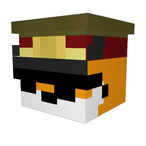 Frogfrog111 Minecraft avatar head, 3D render