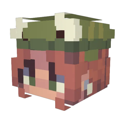 Frogg3r727 Minecraft avatar head, 3D render