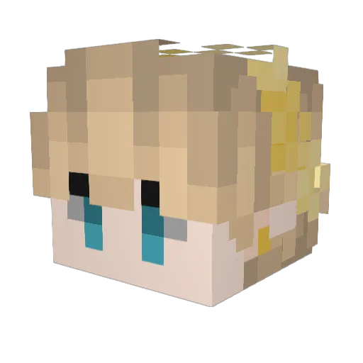 Frogg49 Minecraft avatar head, 3D render