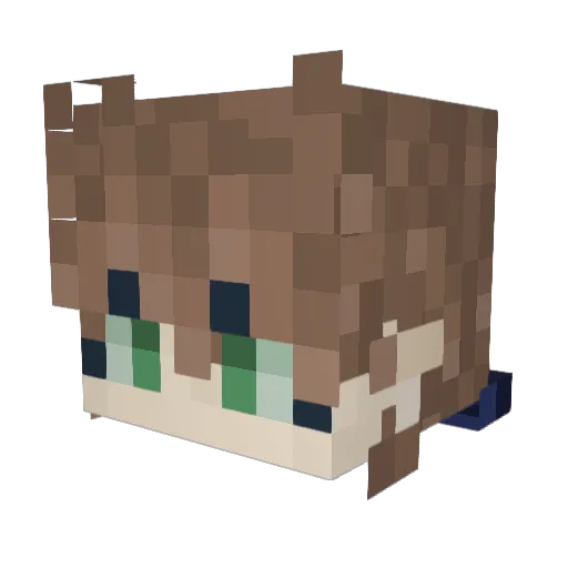 FroggState Minecraft avatar head, 3D render