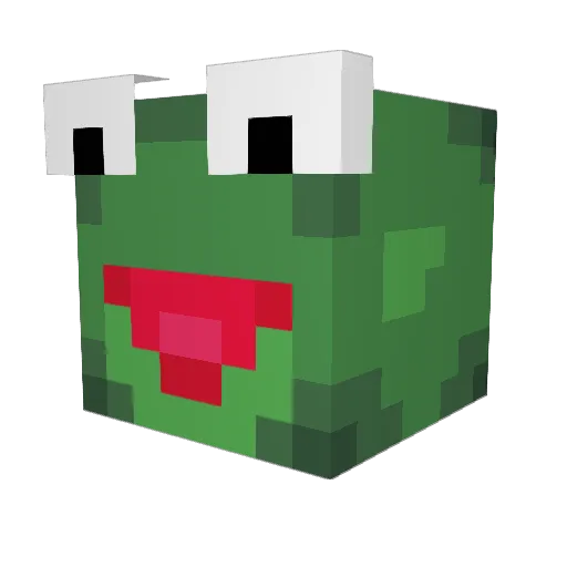 Frogga124 Minecraft avatar head, 3D render