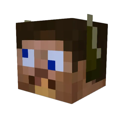 Froggen111 Minecraft avatar head, 3D render
