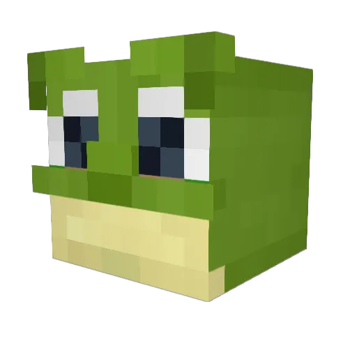 Frogger_97 Minecraft avatar head, 3D render